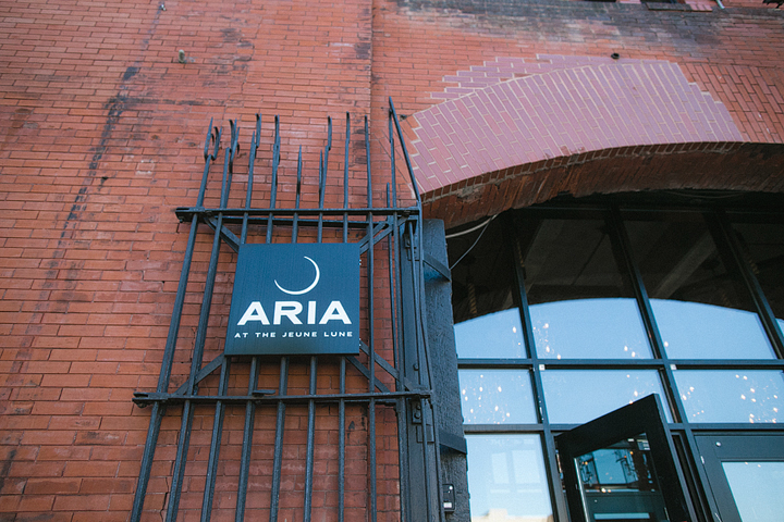 Minneapolis Wedding Photographer Aria